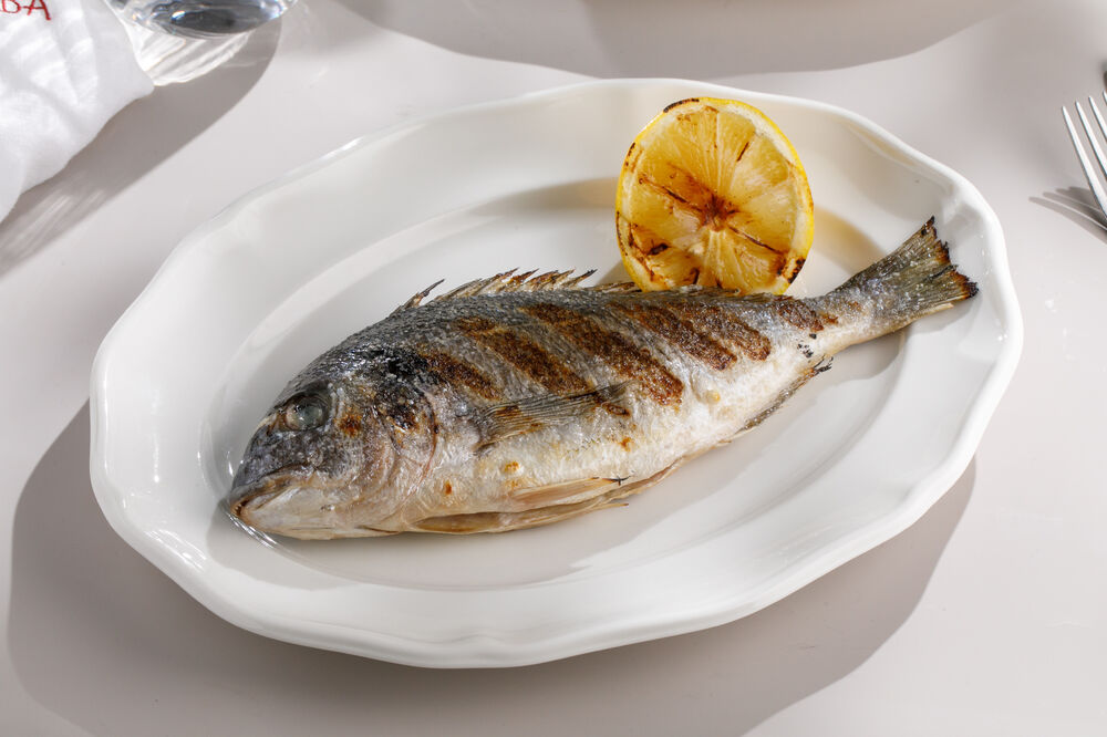 Grilled dorada