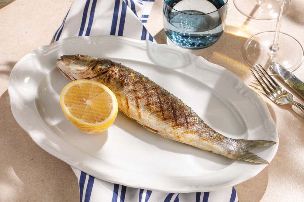 Mediterranean sea bass