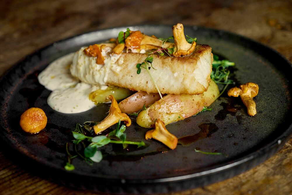 Pike perch at home with chanterelles
