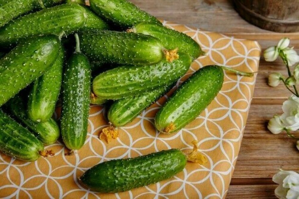 Cucumbers are long-fruited