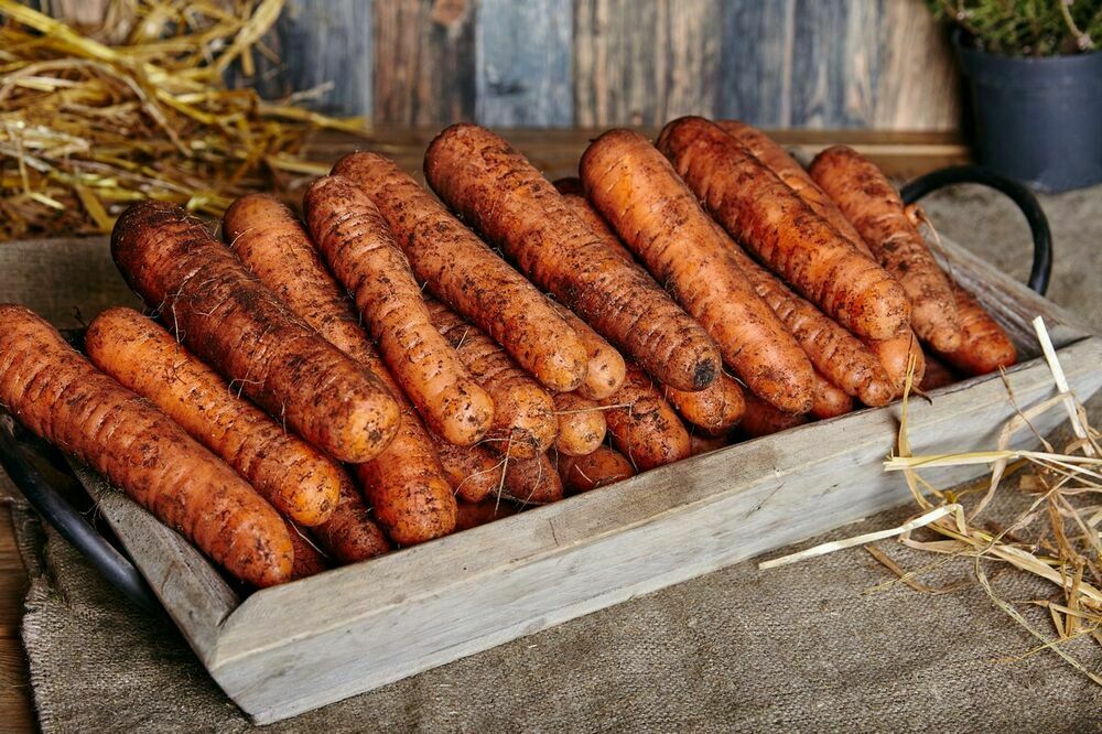 Carrot 1 kg