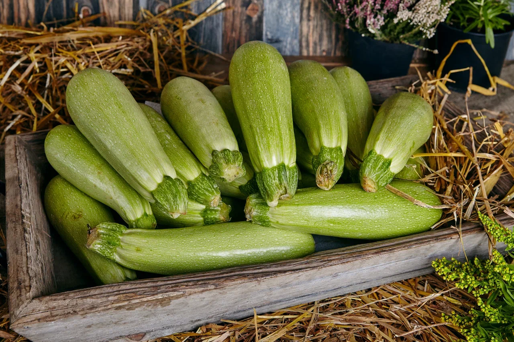 Zucchini 1 kg