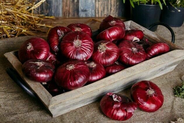  Red onion 1 kg