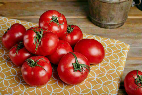 Tomatoes of 1 kg