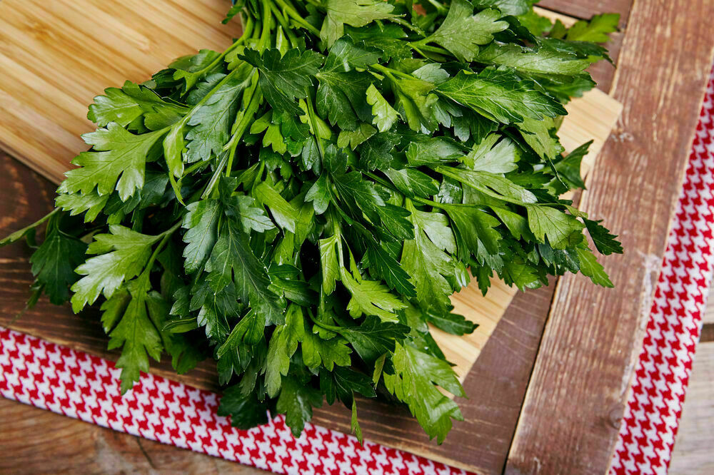 Parsley of 500 g
