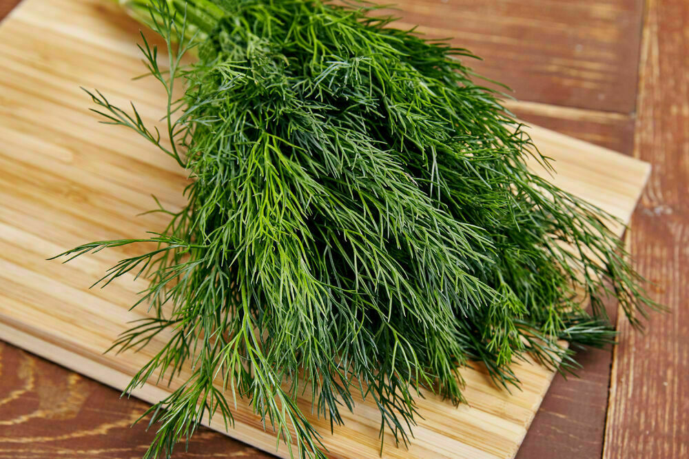 Fennel of 500 g