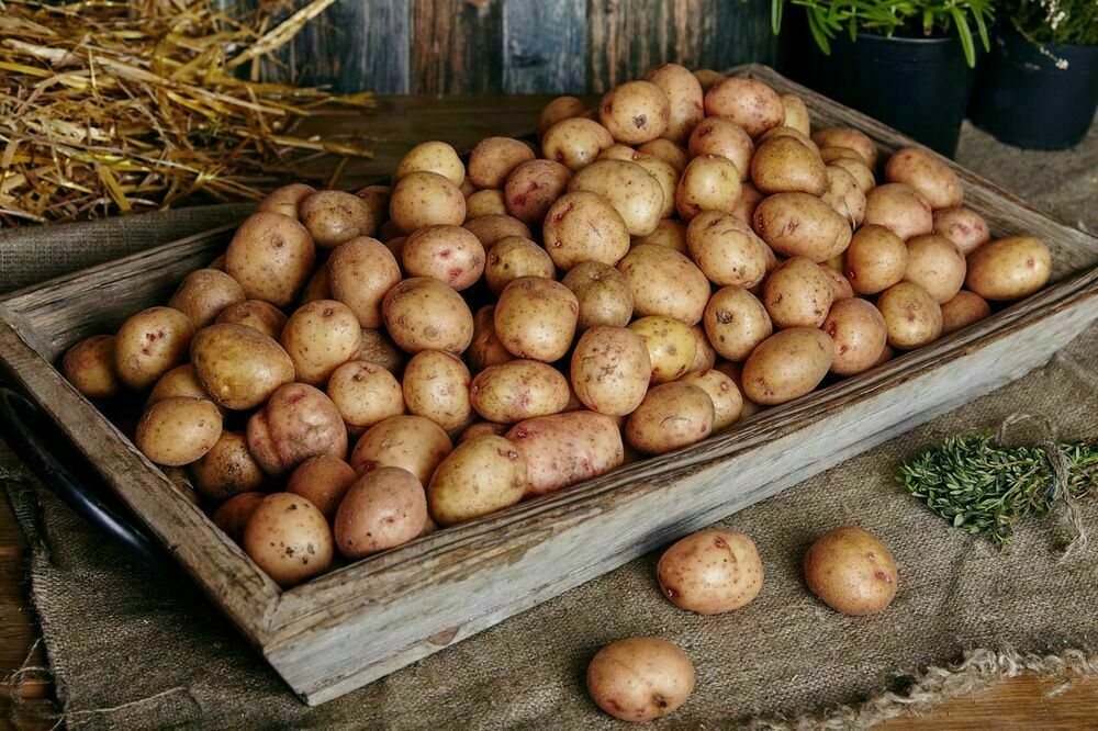  Mini-potatoes 