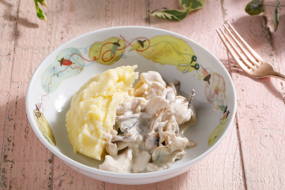 Chicken fricassee with mashed potatoes for kids