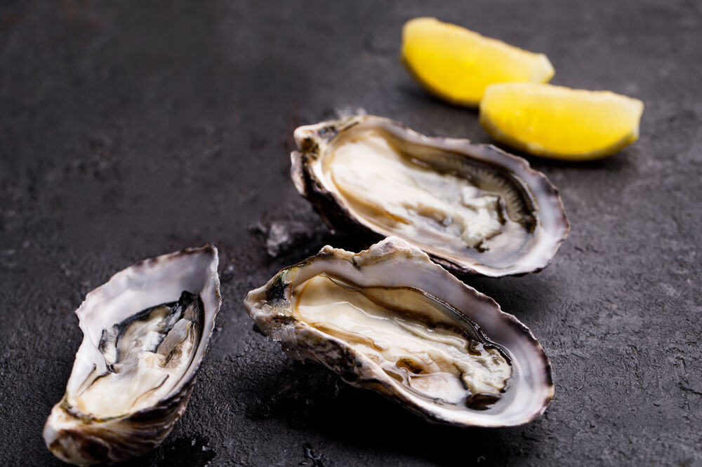 Oysters (1 pcs)