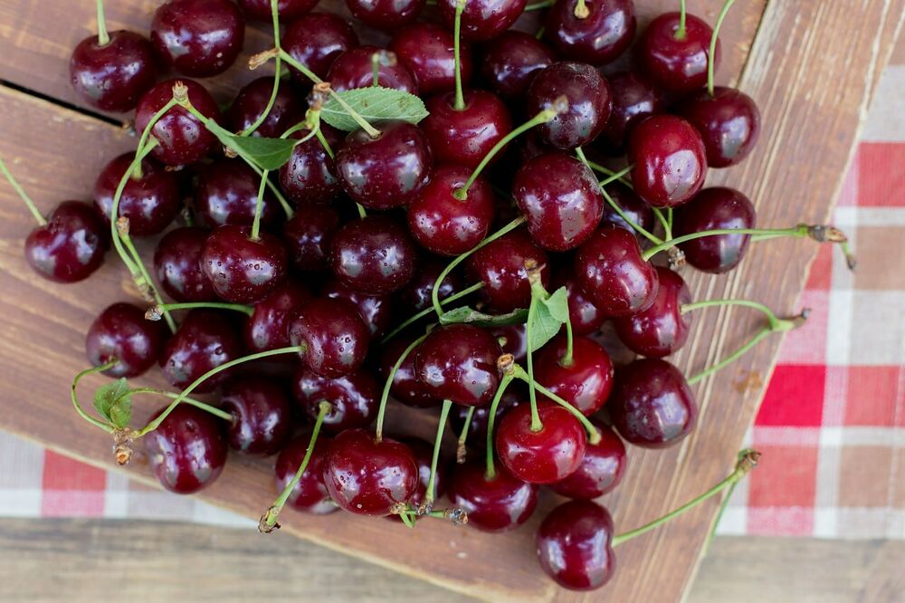 Fresh cherries