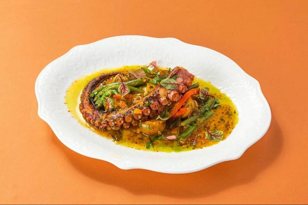 Stewed octopus in chimichurri sauce