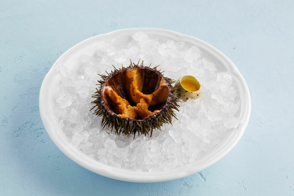 Sea urchin (1 piece)