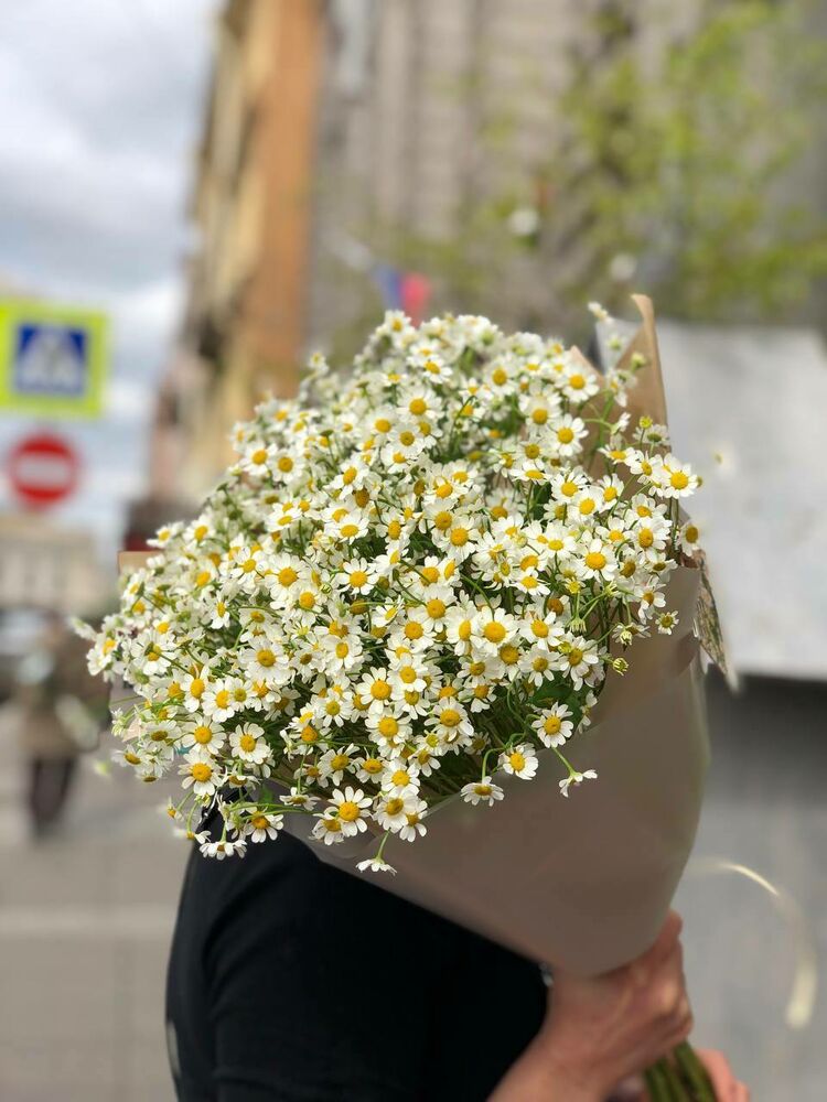 Букет ромашек (матрикария)