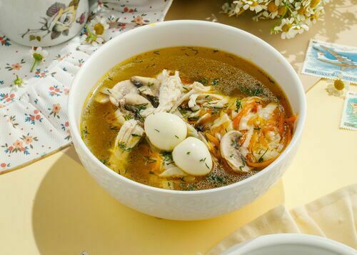 Homemade Chicken and Mushroom Noodle Soup 1+1