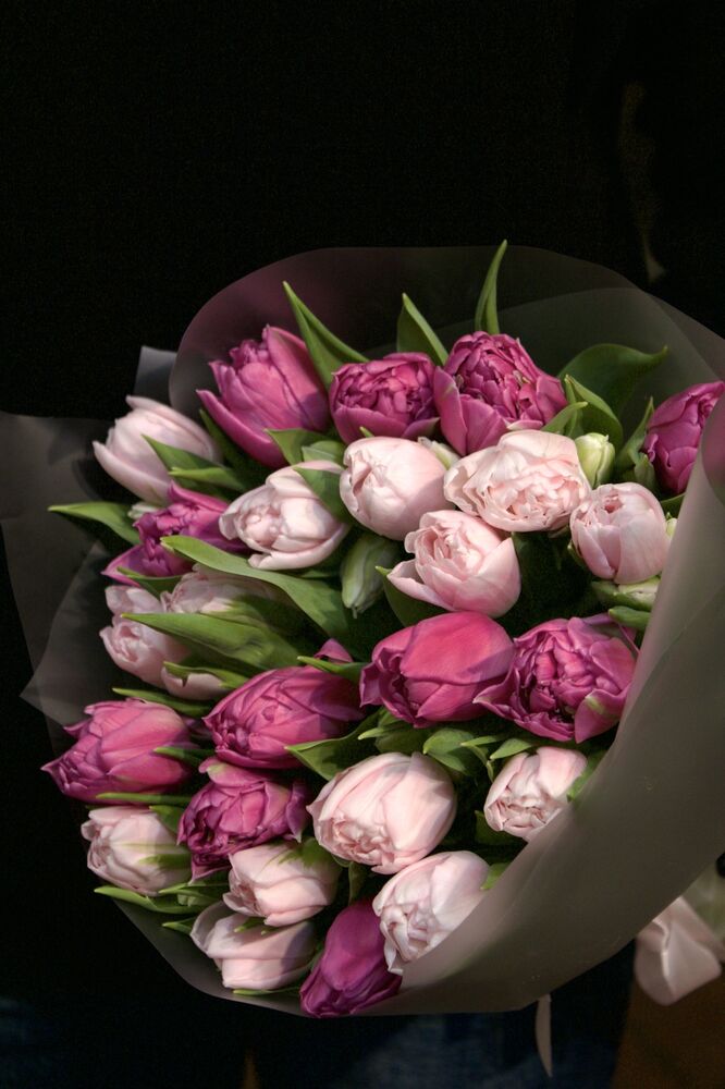 Тюльпаны 25шт.