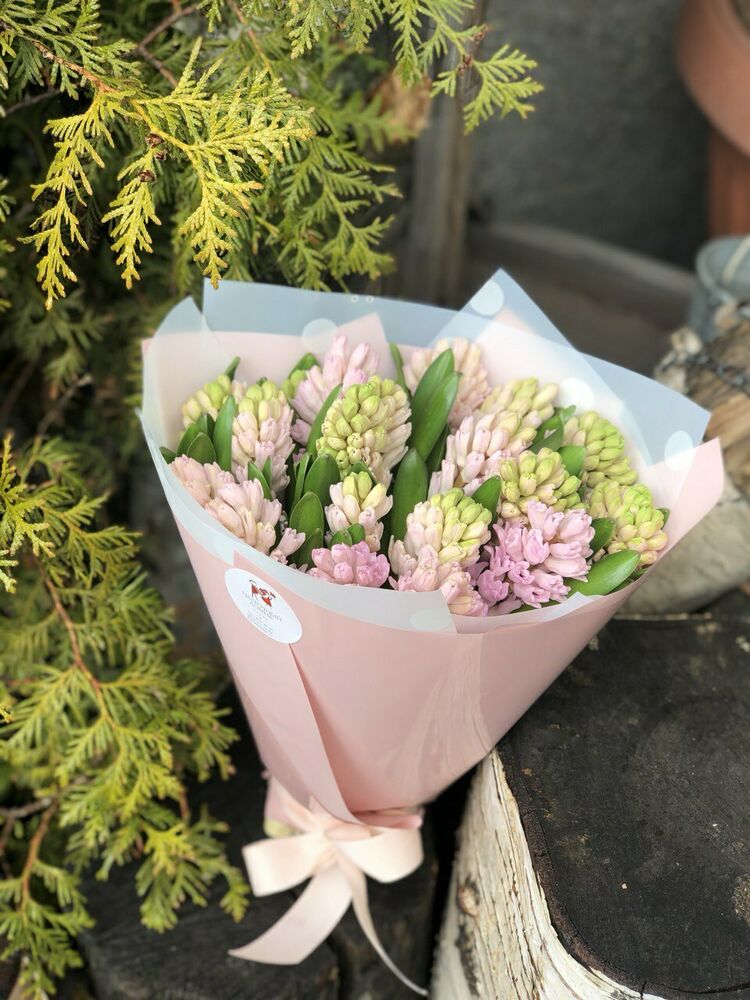 Гиацинты 15шт.