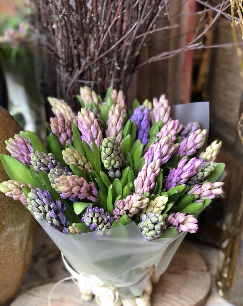 Гиацинты 25шт.