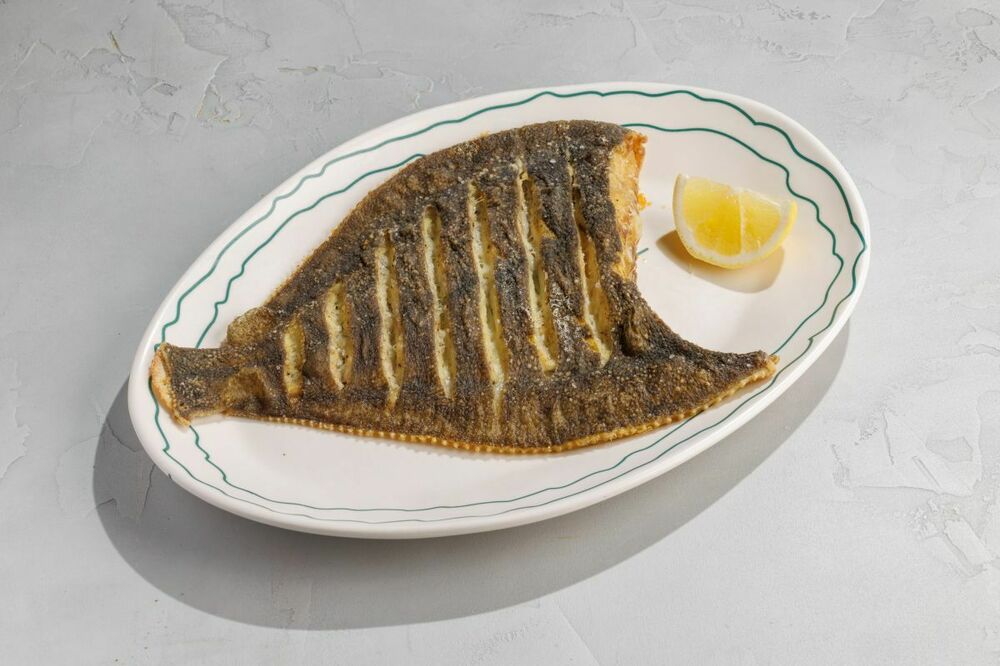 Flounder