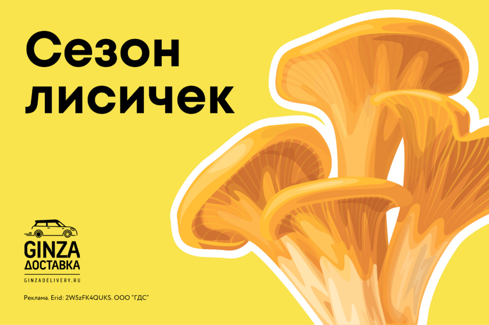 Сезон лисичек