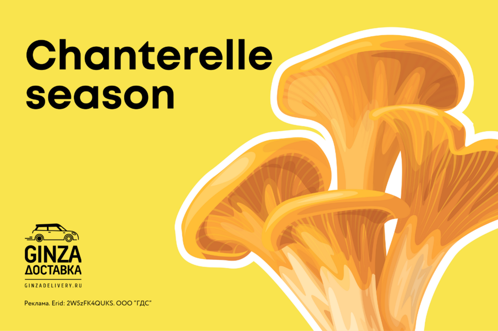 Chanterelle season